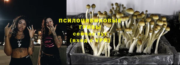 молекула духа Баксан