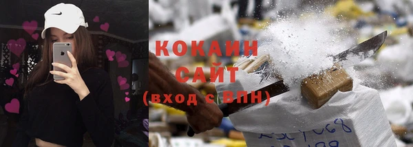 шишки Балахна