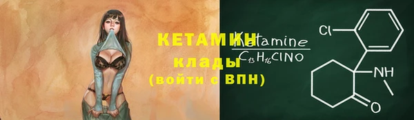 твердый Арсеньев