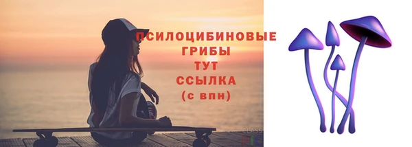 шишки Балахна