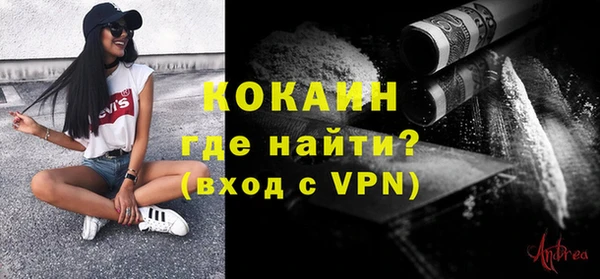 шишки Балахна
