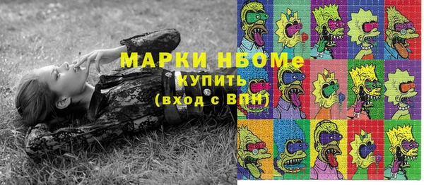 твердый Арсеньев