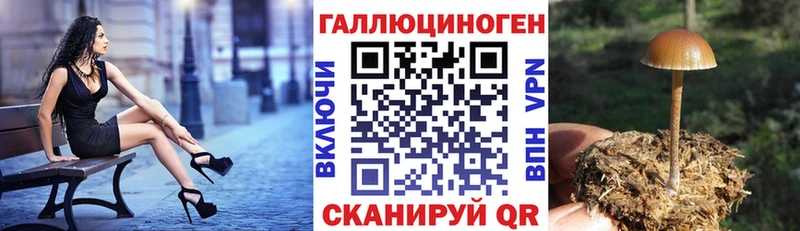 Псилоцибиновые грибы мухоморы  Пермь 